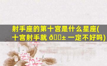 射手座的第十宫是什么星座(十宫射手就 🐱 一定不好吗)